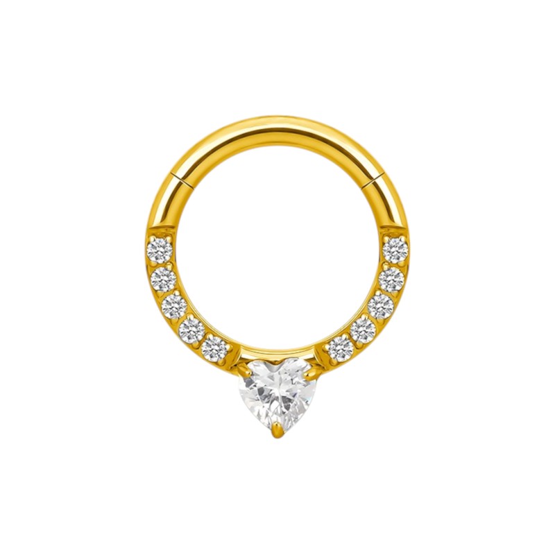 Implant Grade ASTM F136 Titanium CZ Pave Face With Heart CZ Segment Clicker