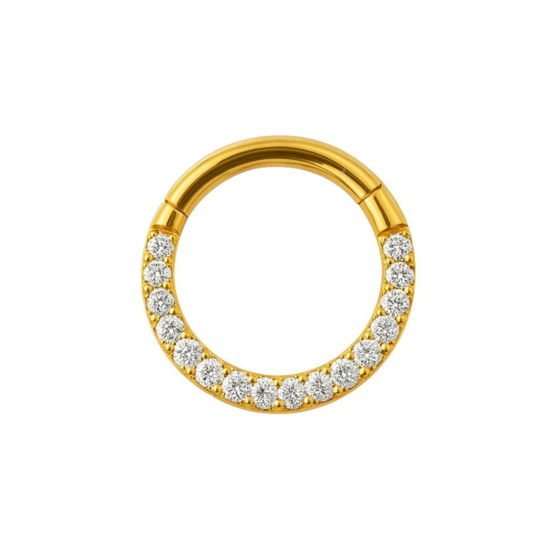 Implant Grade ASTM F136 Titanium With CZ Pave Side Segment Clicker