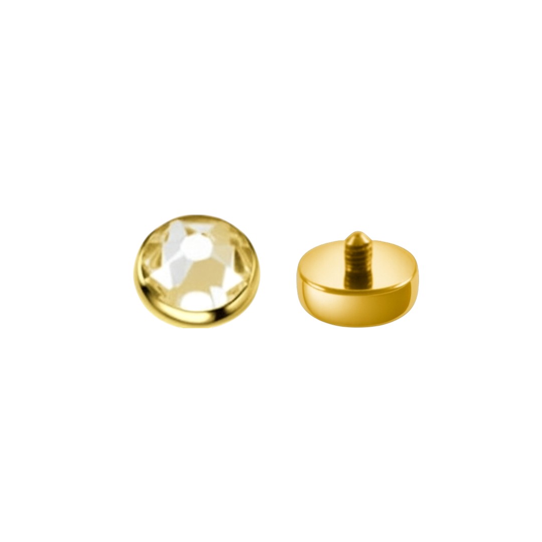Implant Grade ASTM F136 Titanium Dermal Top Internaly Threaded