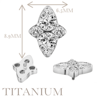 Implant Grade ASTM F136 Titanium Round And Tear Shape CZ Internaly Threaded Labret
