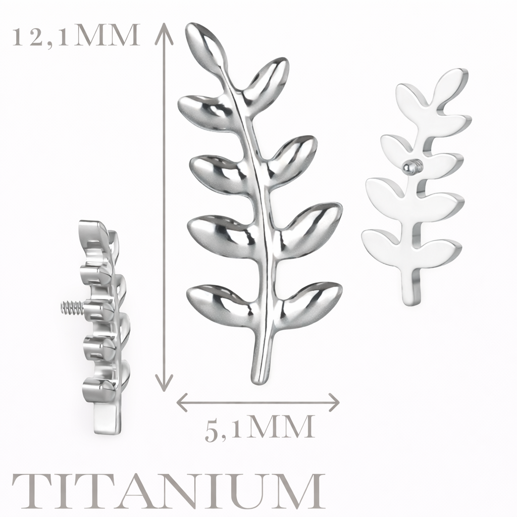 Implant Grade ASTM F136 Titanium Grass Internaly Threaded Labret