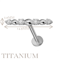 Implant Grade ASTM F136 Titanium Internaly Threaded 4 CZ Bar Labret