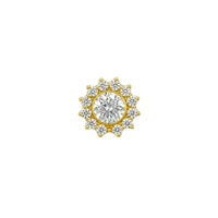 Implant Grade ASTM F136 Titanium Bezel CZ Flower Push In Labret