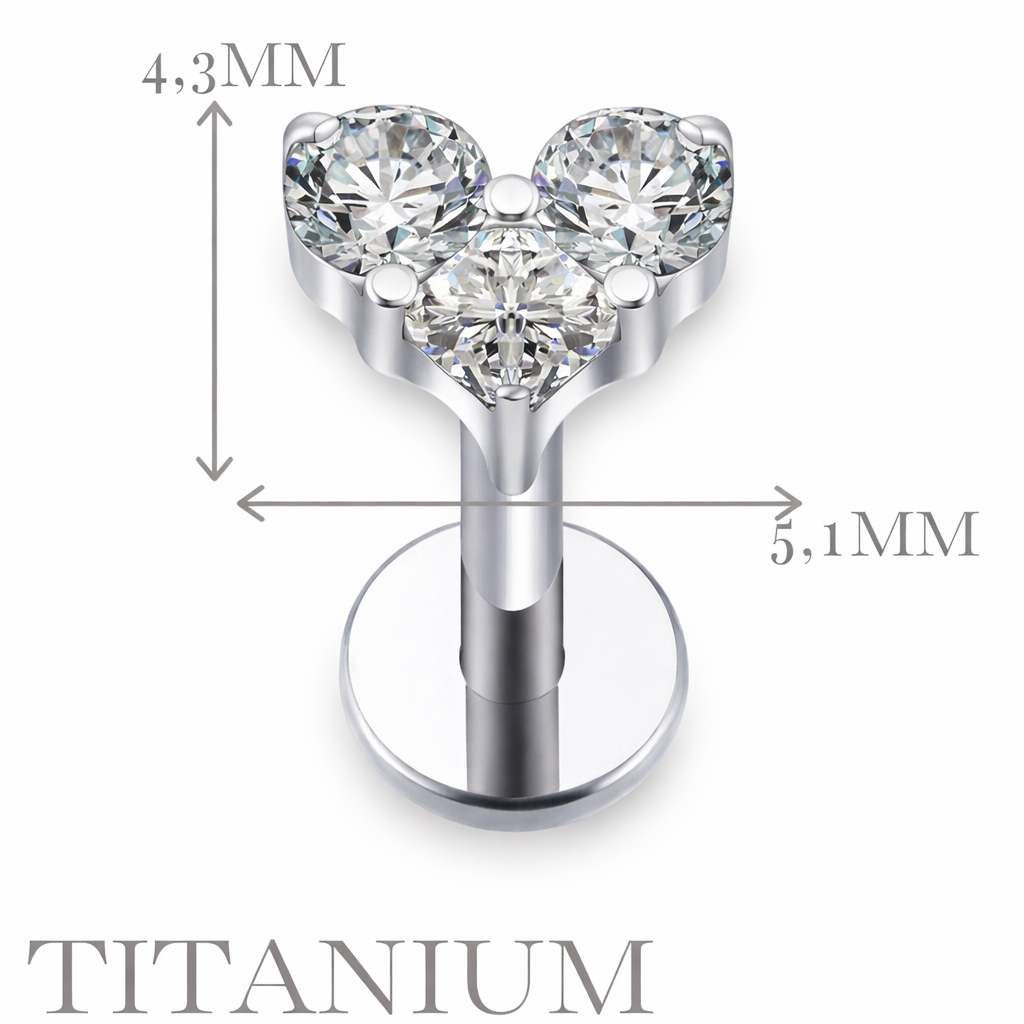 Implant Grade ASTM F136 Titanium Stones Heart Internaly Threaded Labret