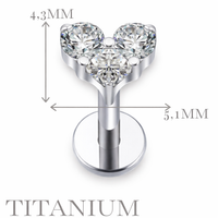 Implant Grade ASTM F136 Titanium Stones Heart Internaly Threaded Labret