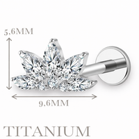 Implant Grade ASTM F136 Titanium Stone Fan Top Internaly Threaded Labret