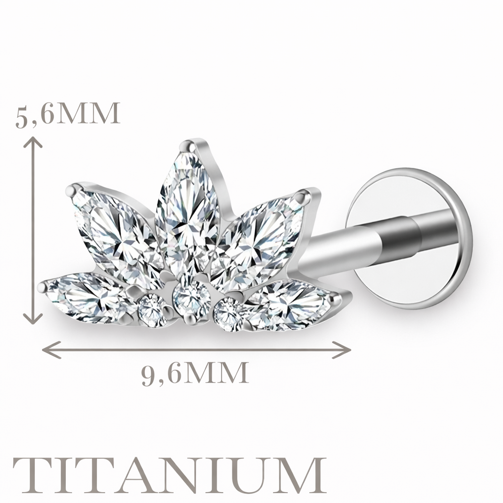 Implant Grade ASTM F136 Titanium Stone Fan Top Internaly Threaded Labret