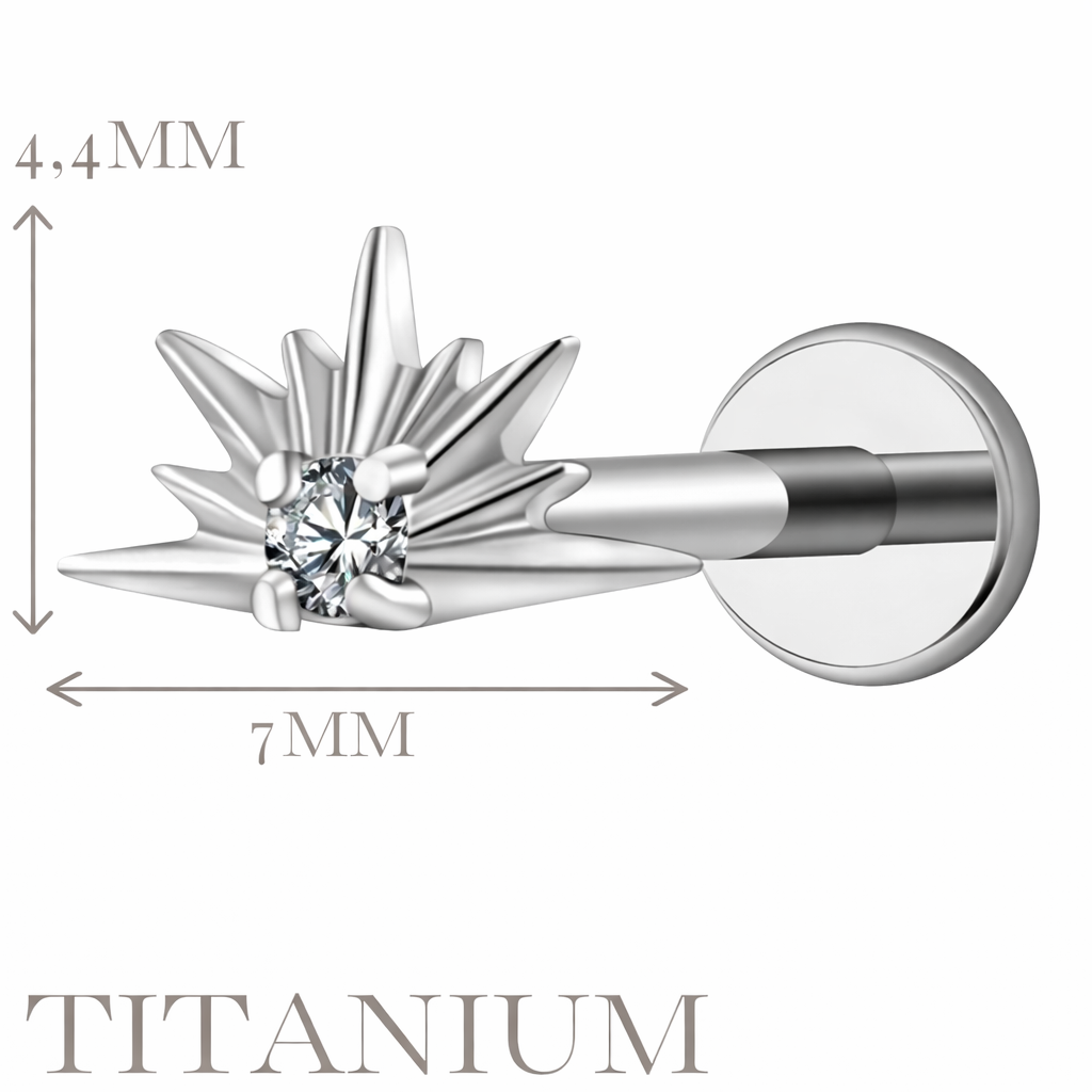 Implant Grade ASTM F136 Titanium Frozen Stone Internaly Threaded Labret