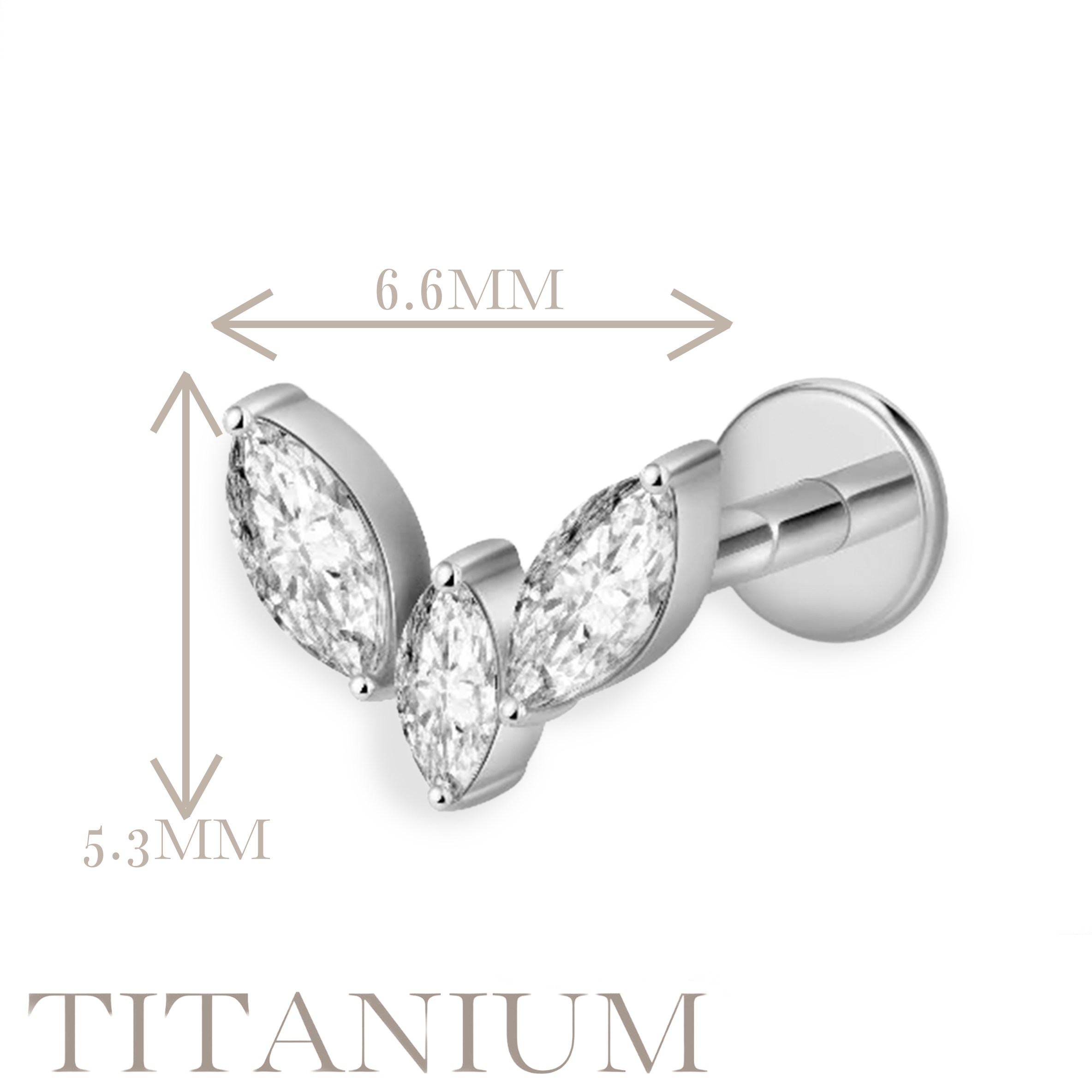 Implant Grade ASTM F136 Titanium Internaly Threaded Wing CZ Labret