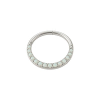 Implant Grade ASTM F136 Titanium Opal CZ PV Segment Clicker