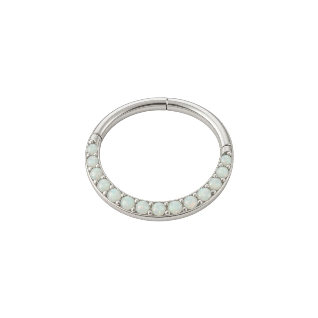 Implant Grade ASTM F136 Titanium Opal CZ PV Segment Clicker
