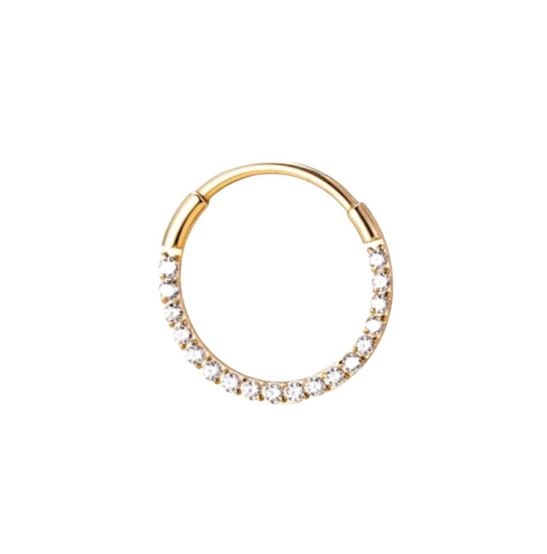 Implant Grade ASTM F136 Titanium Hoop Ring With CZ Pave Face 0.8MM Segment Clicker