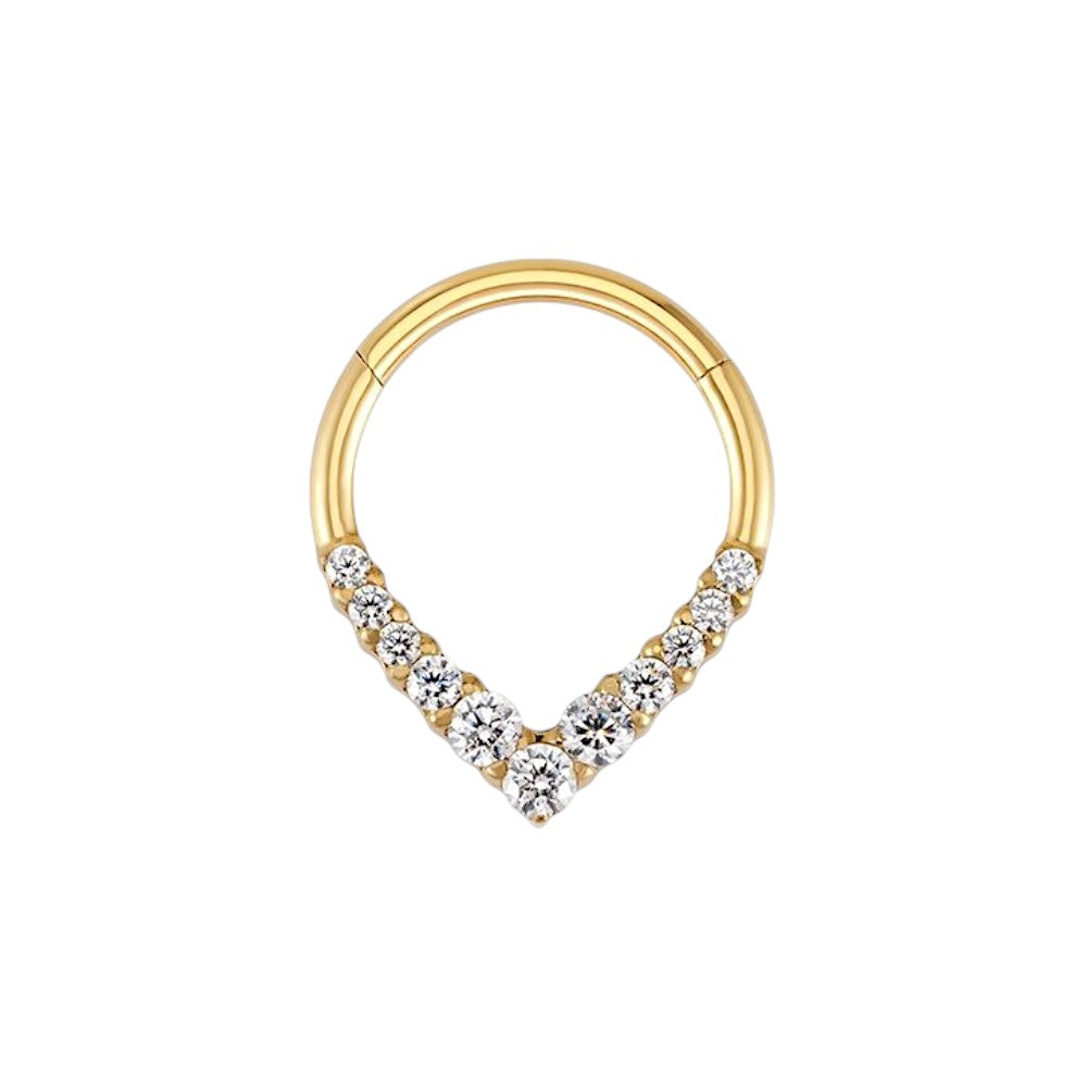 Implant Grade Titanium ASTM F136 Teardrop CZ  Segment Clicker