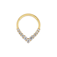 Implant Grade Titanium ASTM F136 Teardrop CZ  Segment Clicker