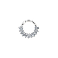 Implant Grade ASTM F136 Titanium 23 CZ Hinged Segment Clicker