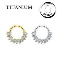 Implant Grade ASTM F136 Titanium 23 CZ Hinged Segment Clicker