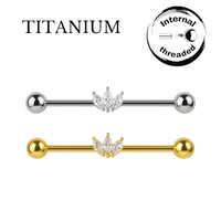 Implant Grade ASTM F136 Titanium 3 CZ Marquise Industrial