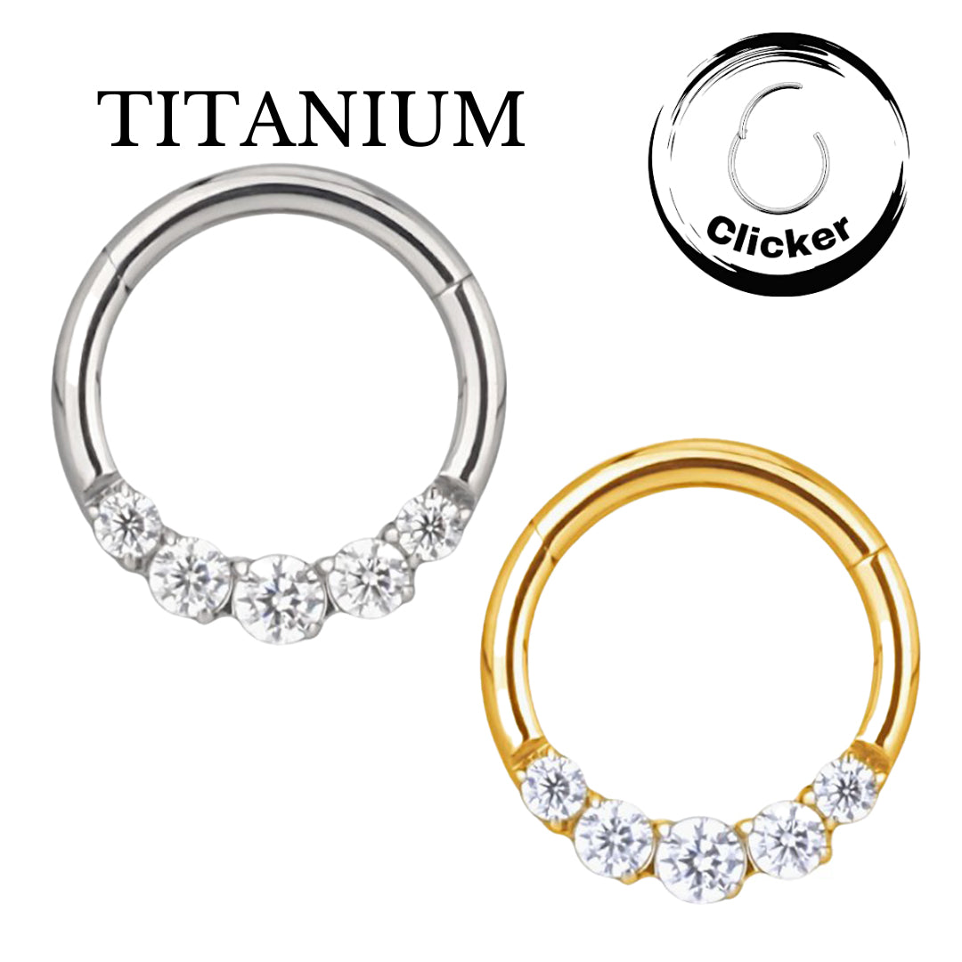 Implant Grade ASTM F136 Titanium 5 CZ Face Segment Clicker