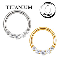 Implant Grade ASTM F136 Titanium 5 CZ Face Segment Clicker