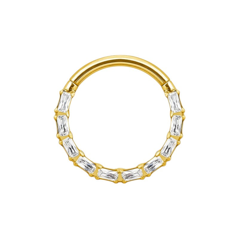 Implant Grade ASTM F136 Titanium Baguette CZ Pave Face Segment Clicker